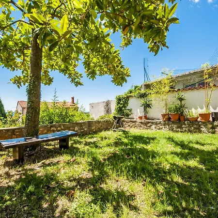Cozy In With Terrace Casa vacanze